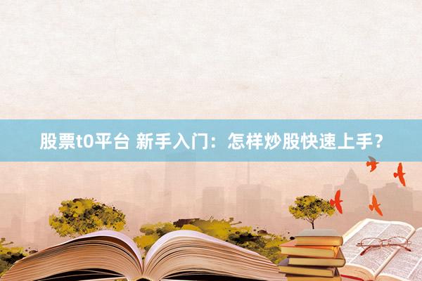 股票t0平台 新手入门：怎样炒股快速上手？