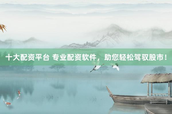 十大配资平台 专业配资软件，助您轻松驾驭股市！