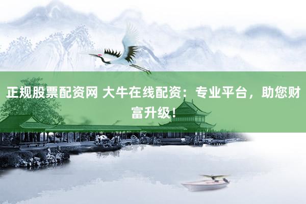 正规股票配资网 大牛在线配资：专业平台，助您财富升级！