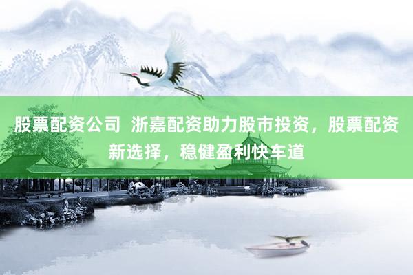 股票配资公司  浙嘉配资助力股市投资，股票配资新选择，稳健盈利快车道