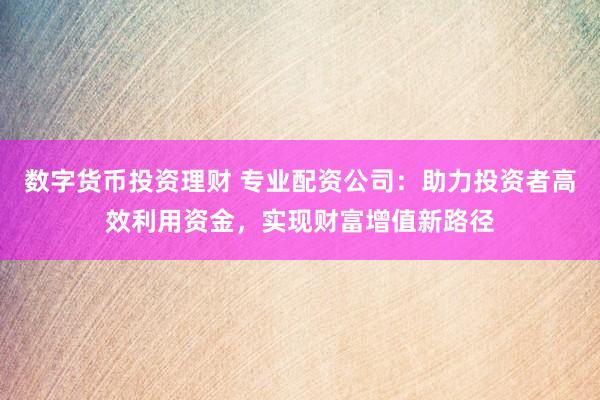 数字货币投资理财 专业配资公司：助力投资者高效利用资金，实现财富增值新路径