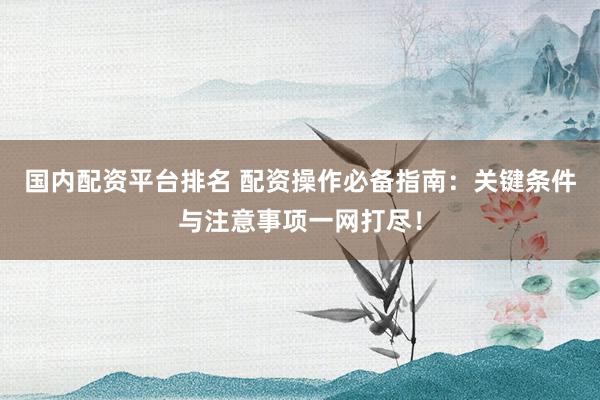 国内配资平台排名 配资操作必备指南：关键条件与注意事项一网打尽！