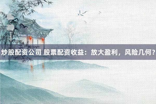 炒股配资公司 股票配资收益：放大盈利，风险几何？