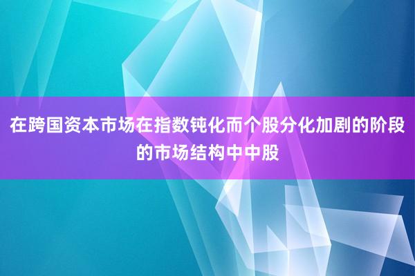 在跨国资本市场在指数钝化而个股分化加剧的阶段的市场结构中中股