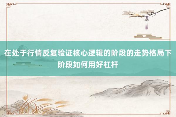 在处于行情反复验证核心逻辑的阶段的走势格局下阶段如何用好杠杆