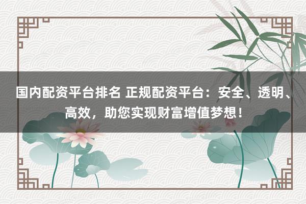 国内配资平台排名 正规配资平台:安全、透明、高效,助您实现财富增值梦想!