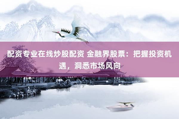 配资专业在线炒股配资 金融界股票：把握投资机遇，洞悉市场风向